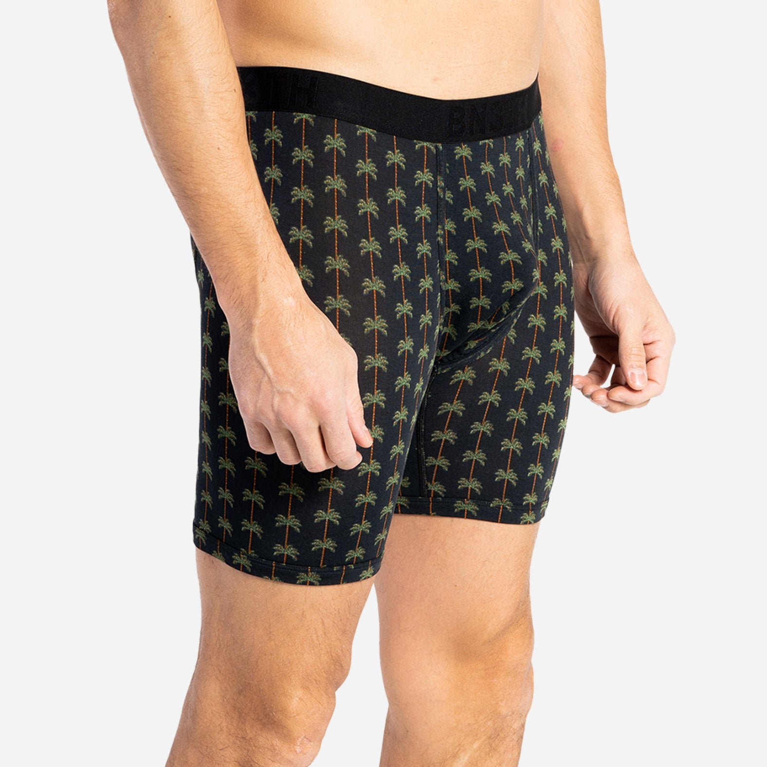 CLASSIC BOXER BRIEF: PALM STRIPE BLACK
