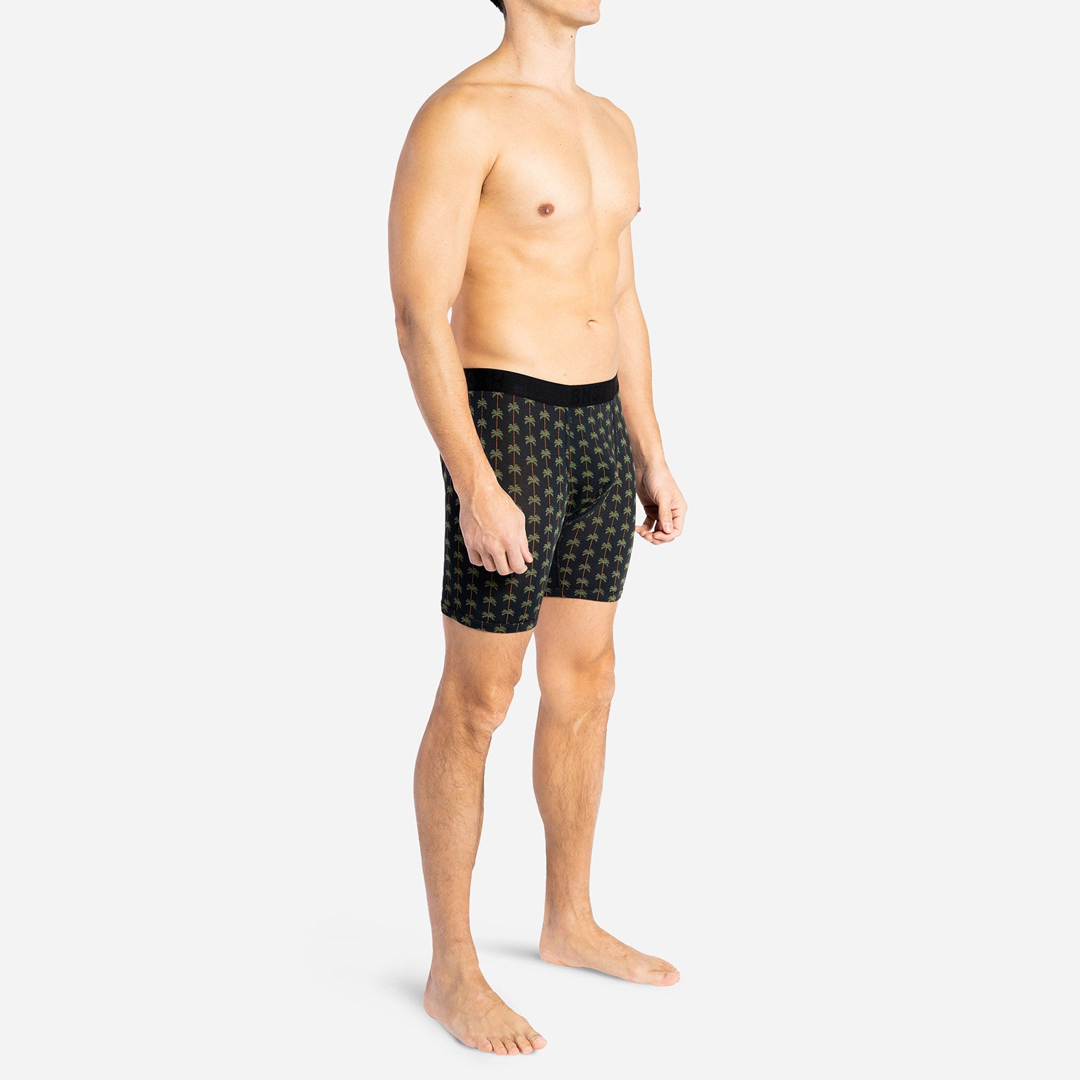 CLASSIC BOXER BRIEF: PALM STRIPE BLACK