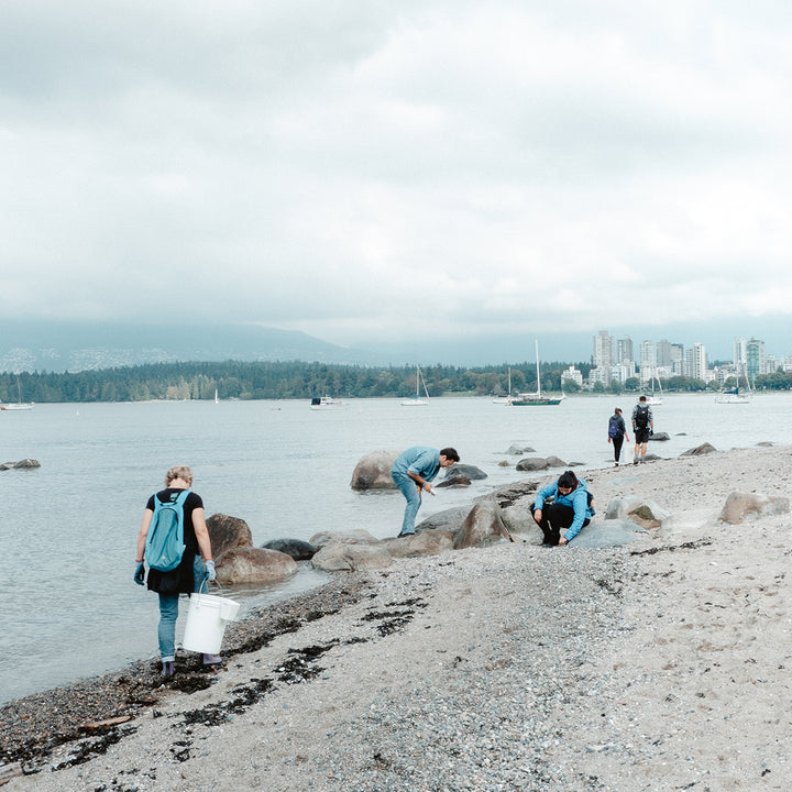 Easy Ways to Support International Ocean Cleanup Day