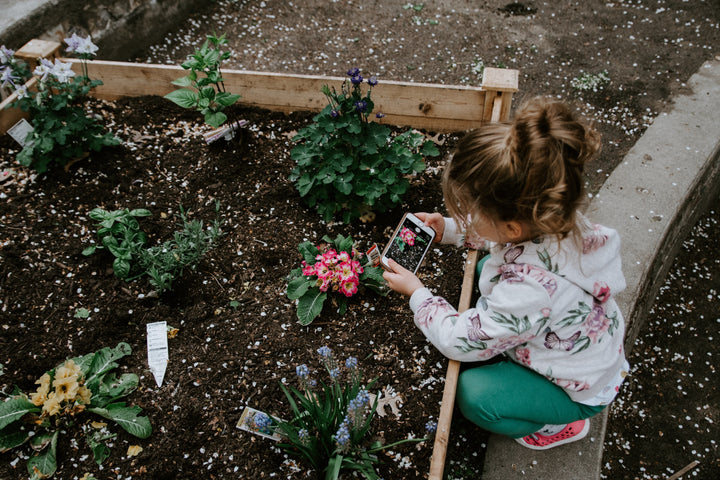 3 Fun Ways Your Kids Can Help the Environment