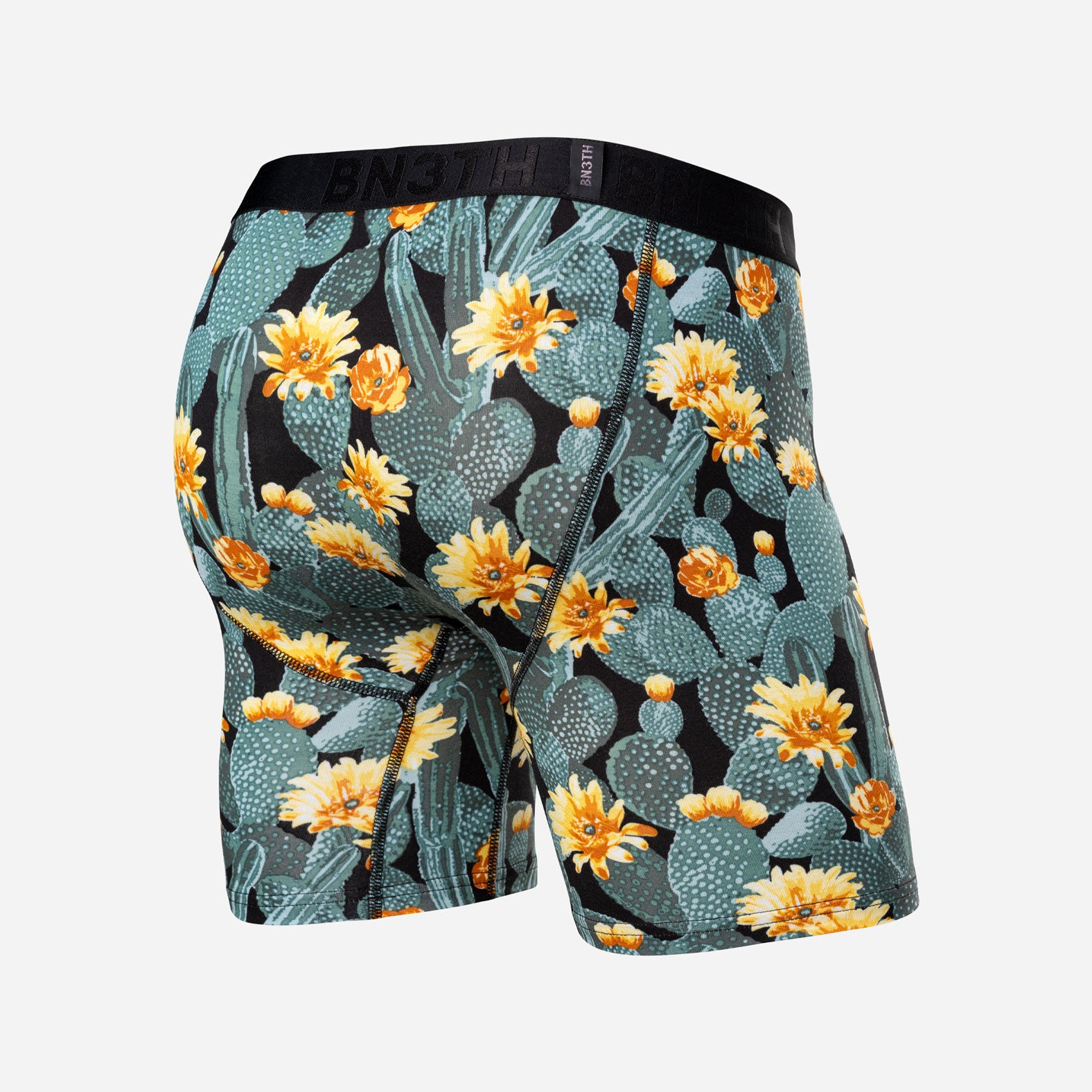 Classic Icon Boxer Brief:  Cactus Blossom - Black from BN3TH Underwear
