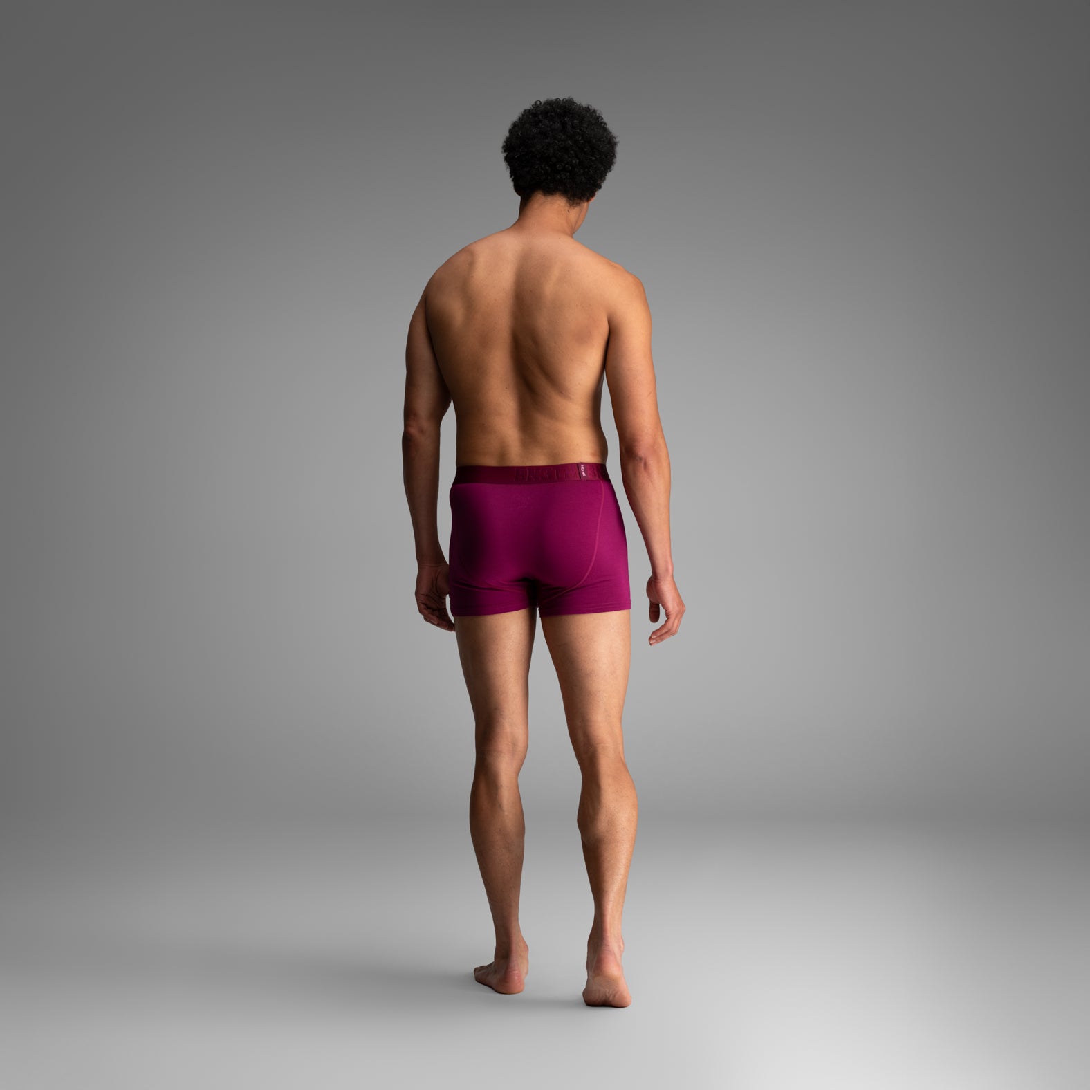 Classic Icon Trunk:  Purple Potion from BN3TH Underwear