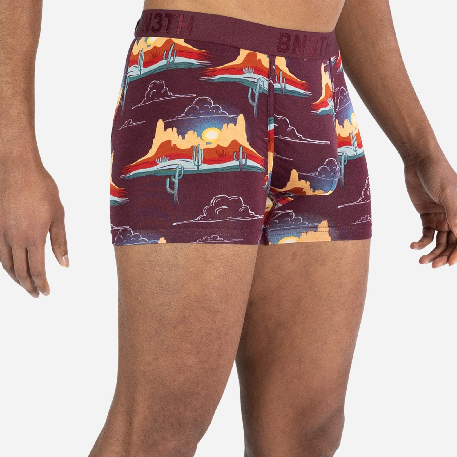 Classic Icon Trunk: Western Range Fig